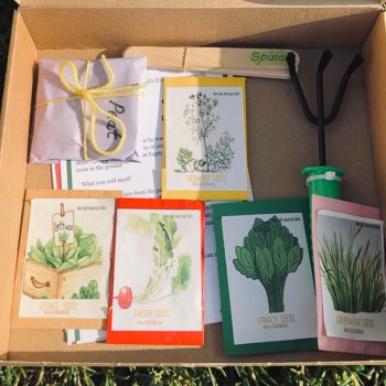 spring-gardening-kit-2